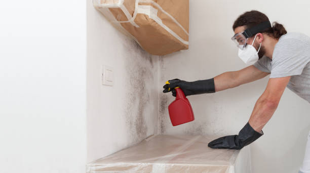 Professional Mold Removal technician working in Sims, NC